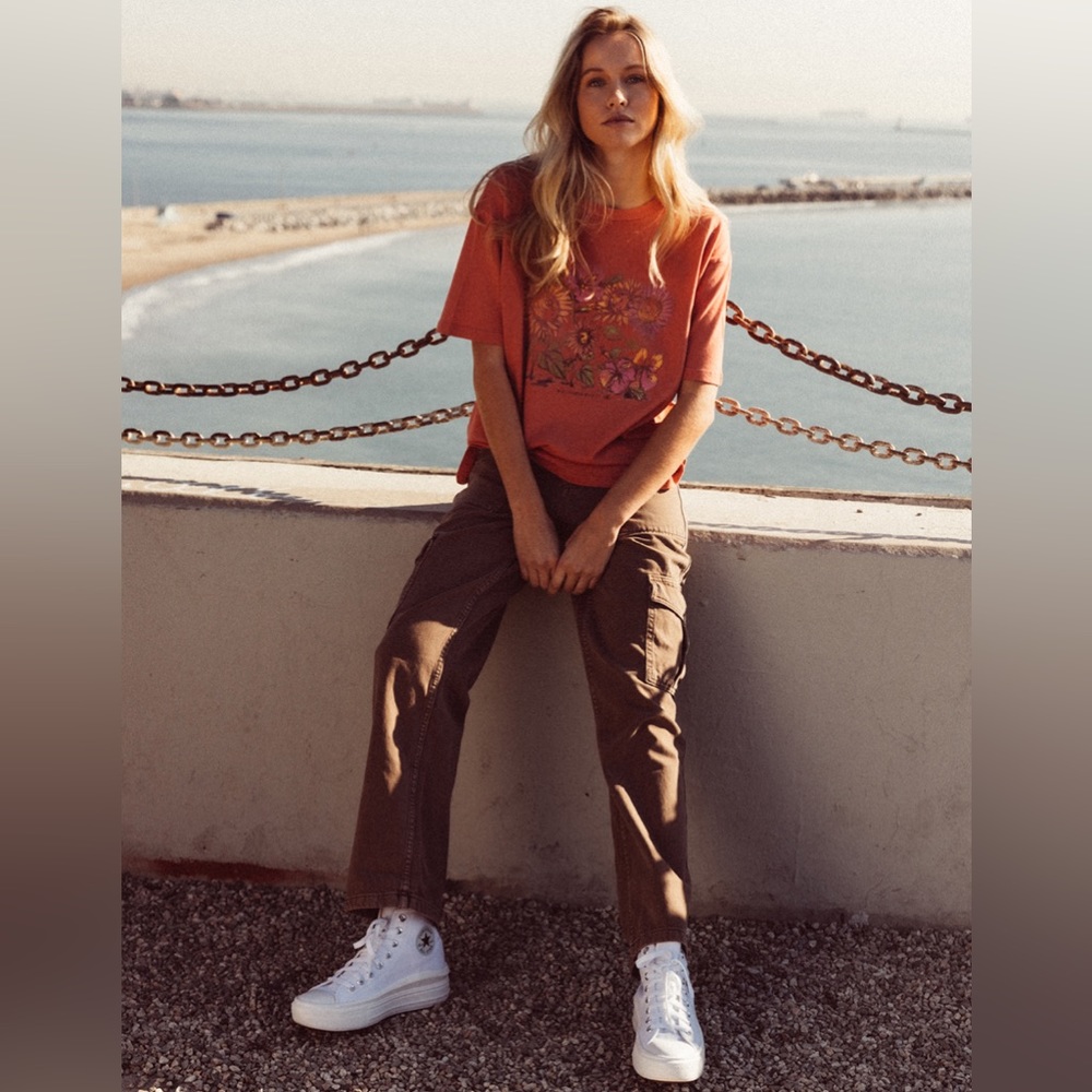 BDG Skate Pants